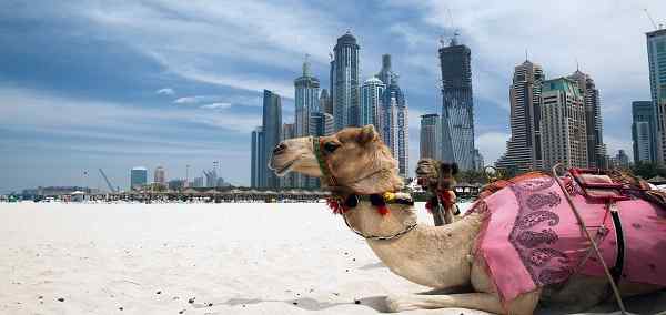 Book Dubai city tours & vacation packages