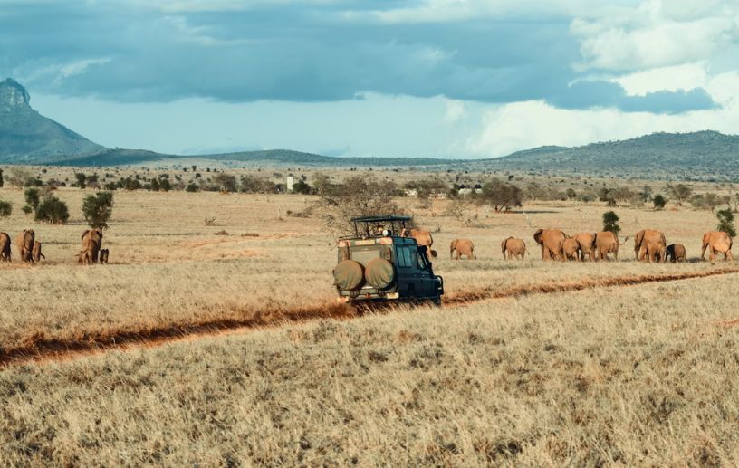 African Safaris - East and Southern Africa