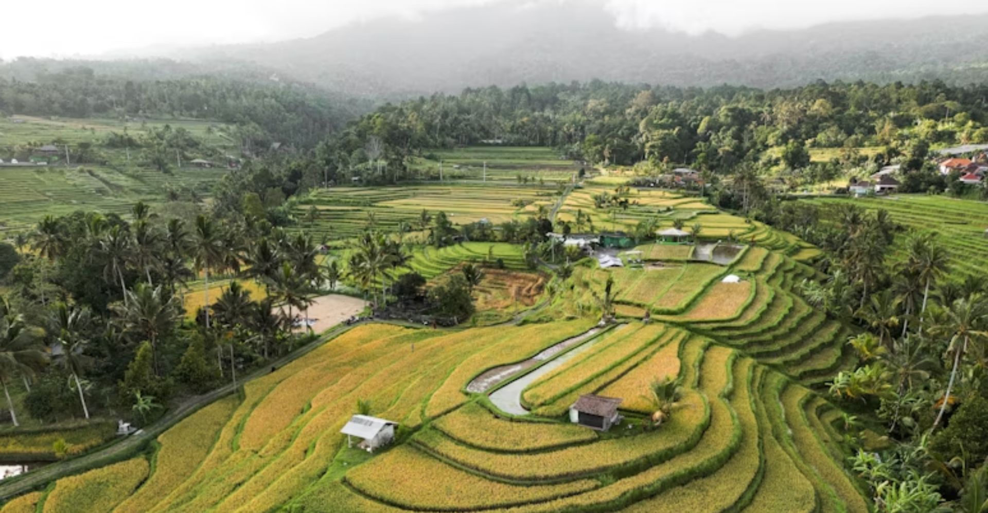 Agricultural and Farming Tours
