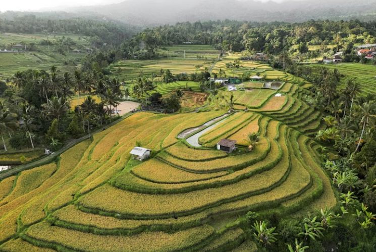 Agricultural and Farming Tours