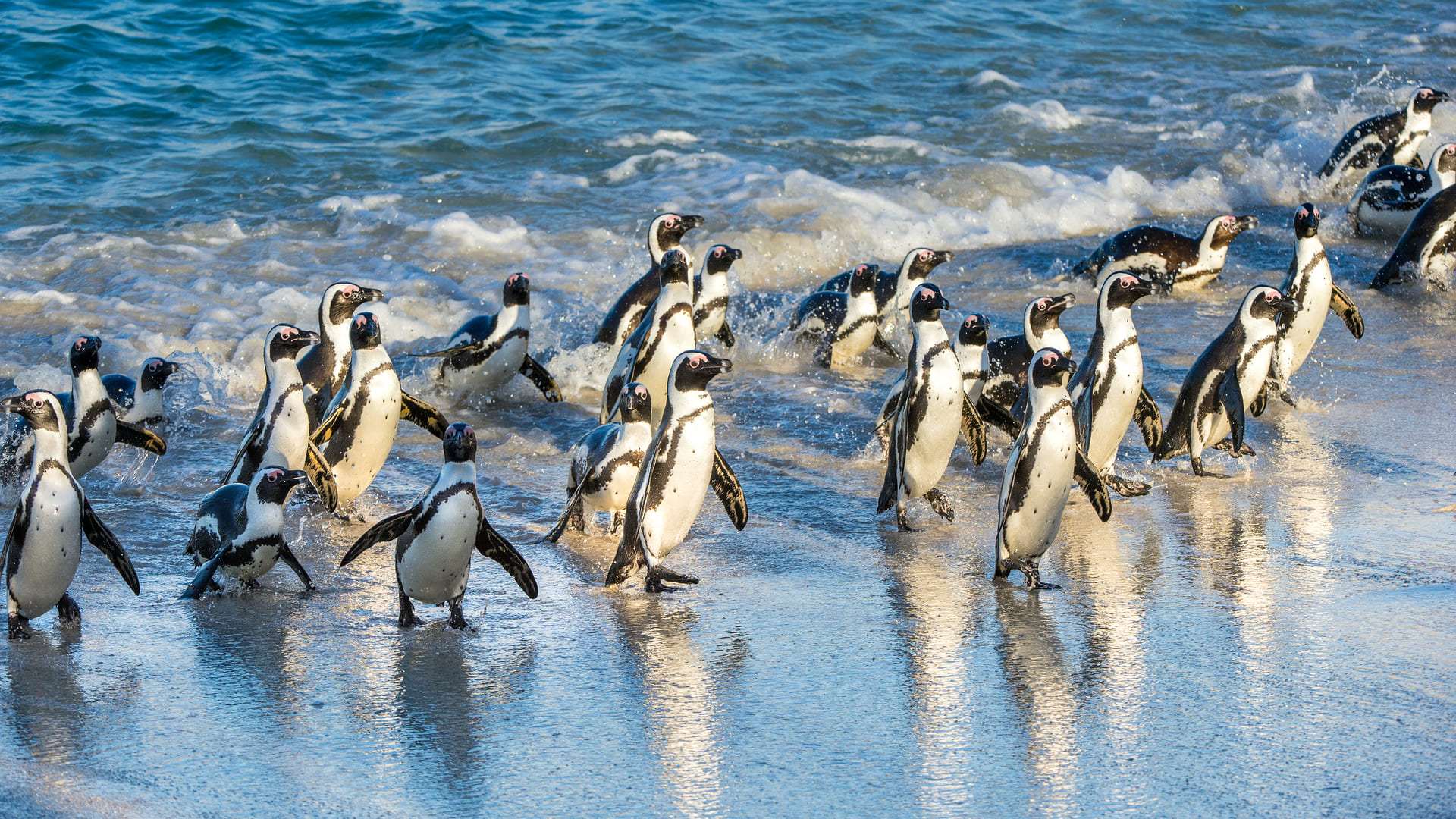 Jewels of South Africa