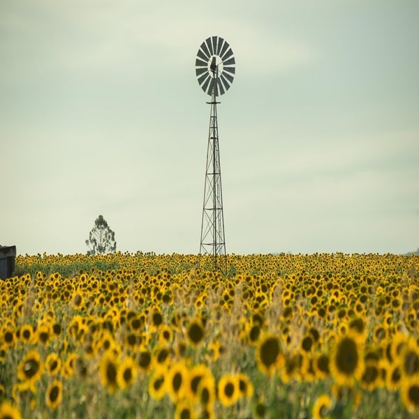 Australia Agriculture Tour