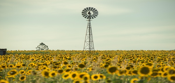 Australia Agriculture Tour