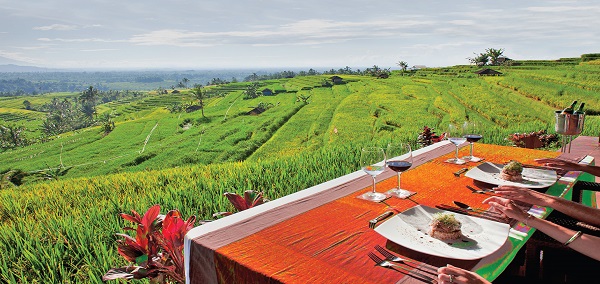 Bali and Lifestyle And Retreat