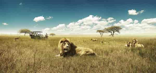 Discover South Africa and Dubai