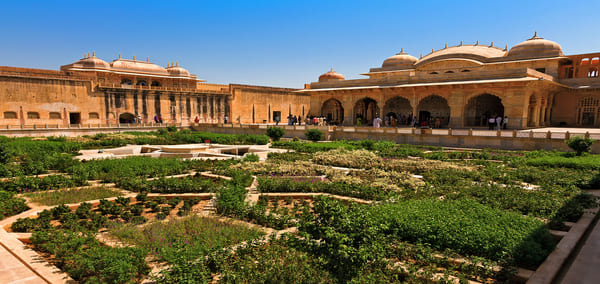 India Educational Experience
