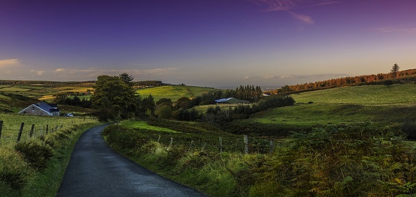 Ireland Agriculture Tour