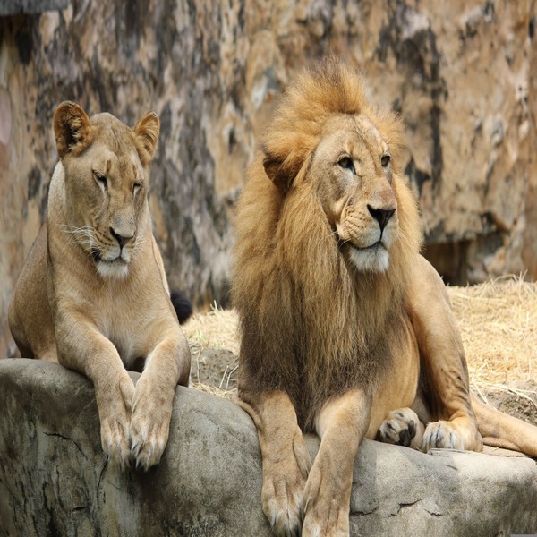Tour Image