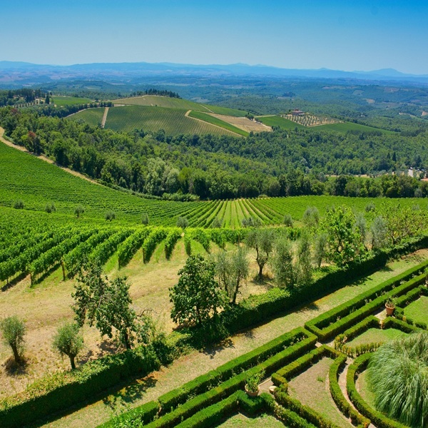 Wine and Cultural Tour of Italy