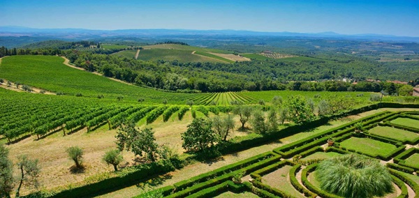 Wine and Cultural Tour of Italy