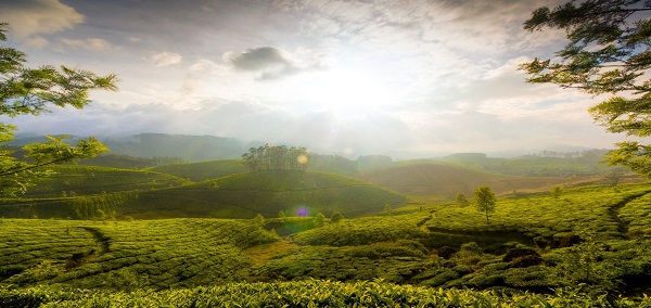 Yoga and Meditation In Sri Lanka