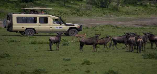 Classic Tanzania Safari