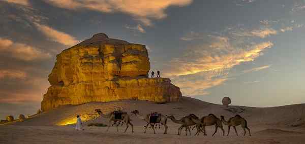 Highlights of Saudi Arabia Jordan and Egypt