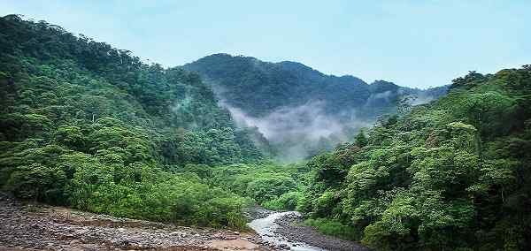 Costa Rican Explorer
