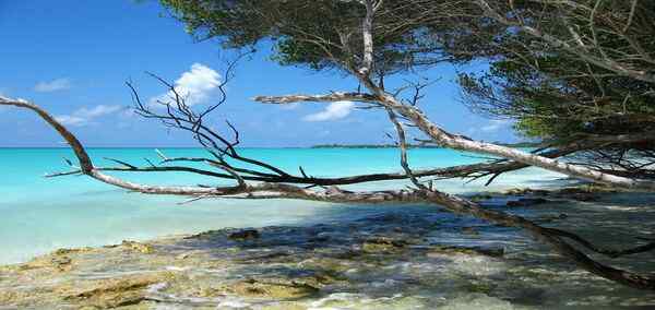 Dazzling Maldives and Qatar