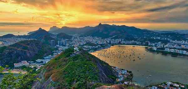 Essence of Brazil