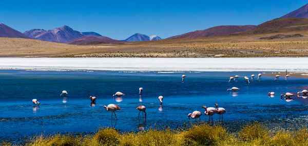 Essential Peru And Bolivia