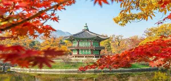 Journey from Seoul to Kyoto