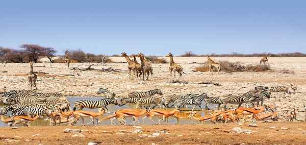 Northern Namibia Circuit