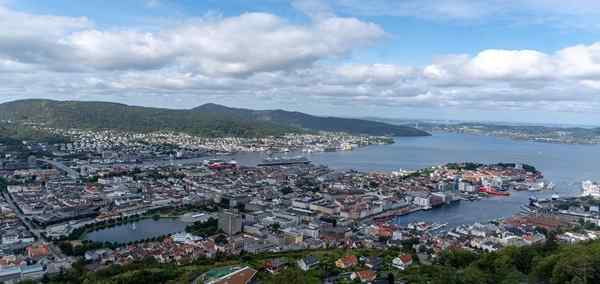 Picturesque Solo Norwegian Fjords Tour