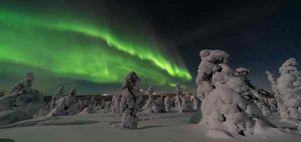 Rovaniemi Winter Experience