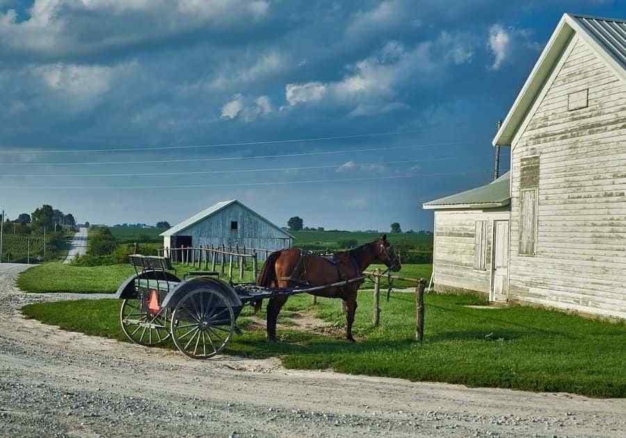 AMISHCOUNTRY