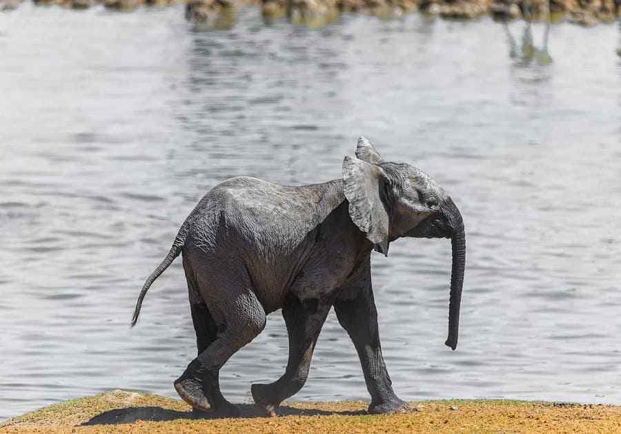 South Africa