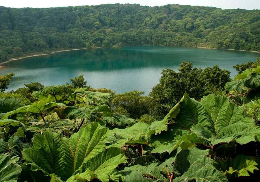 Treasures of Costa Rica