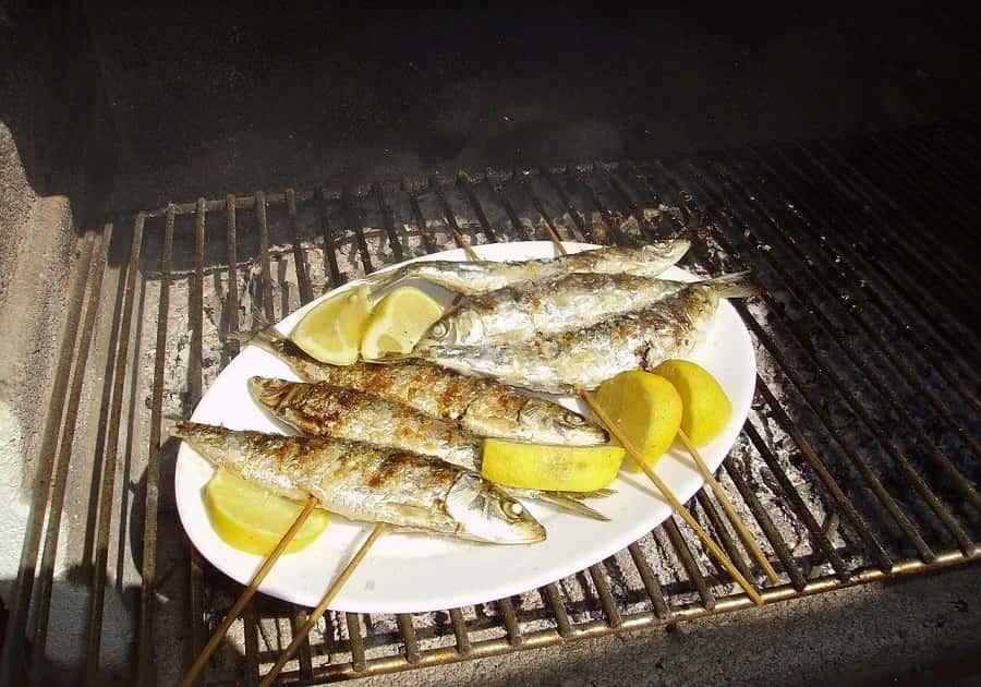 Sardines Fish
