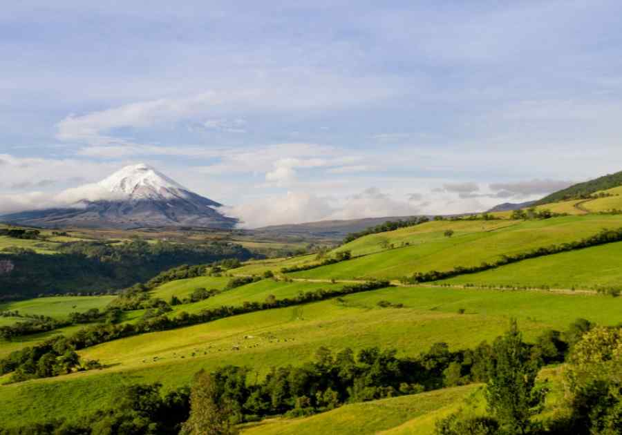 Best Of Ecuador & Galapagos Islands 5