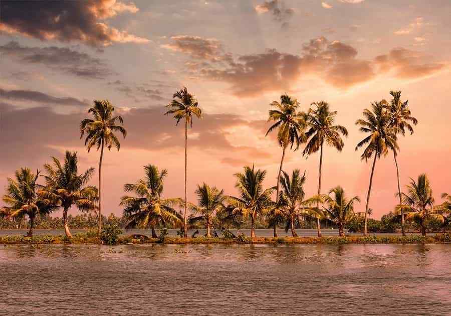 Best of North and South India