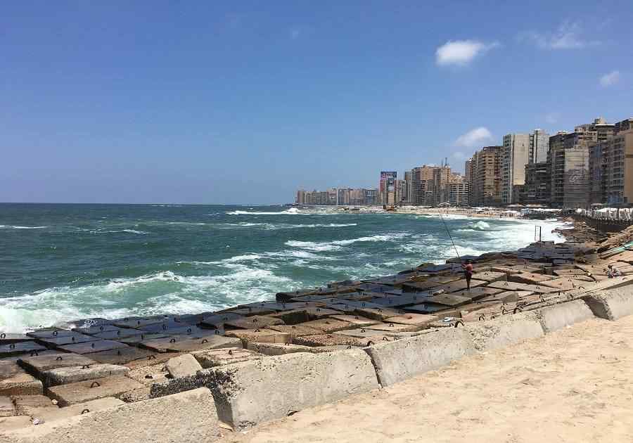 Alexandria 