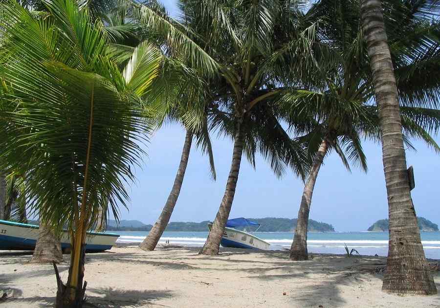 Treasures of Costa Rica