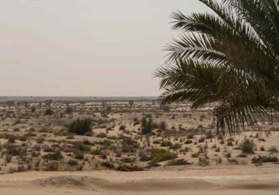BAB AL SHAMS