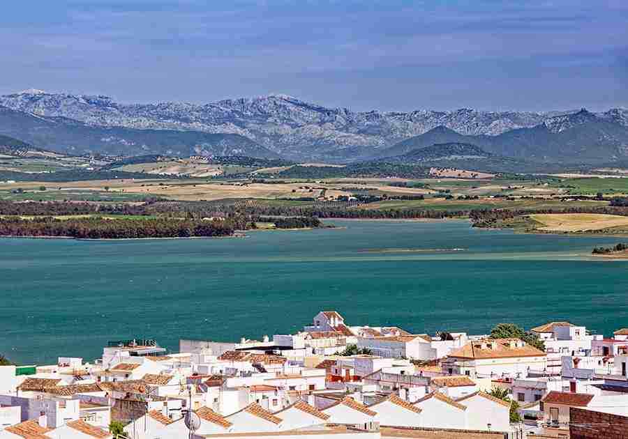 Bornos