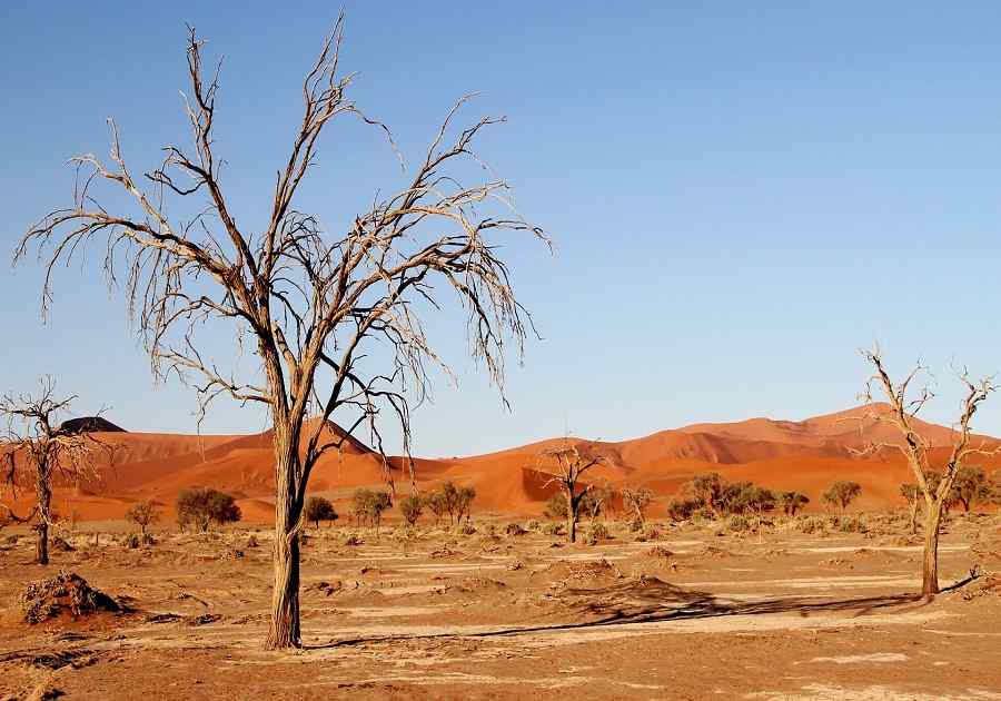 Desert