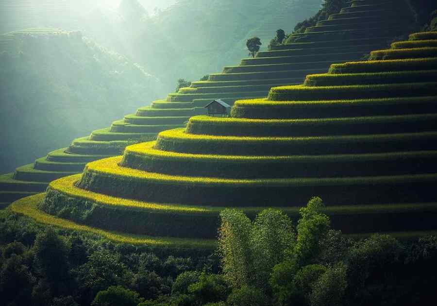 Beautiful Bali & Ubud