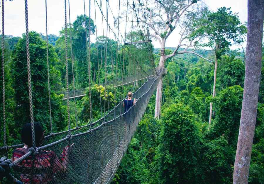 Canopy of Kakum