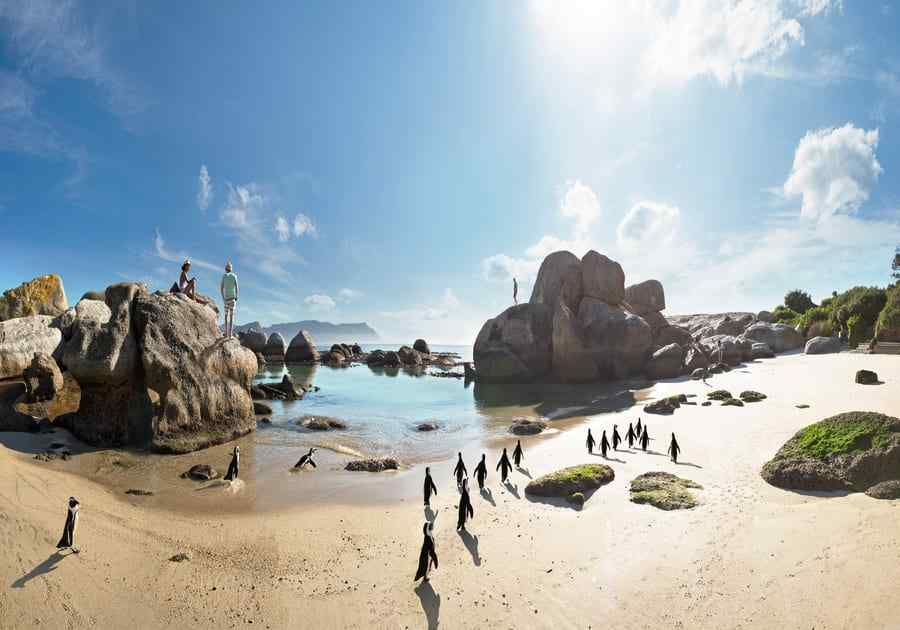 Boulders Beach