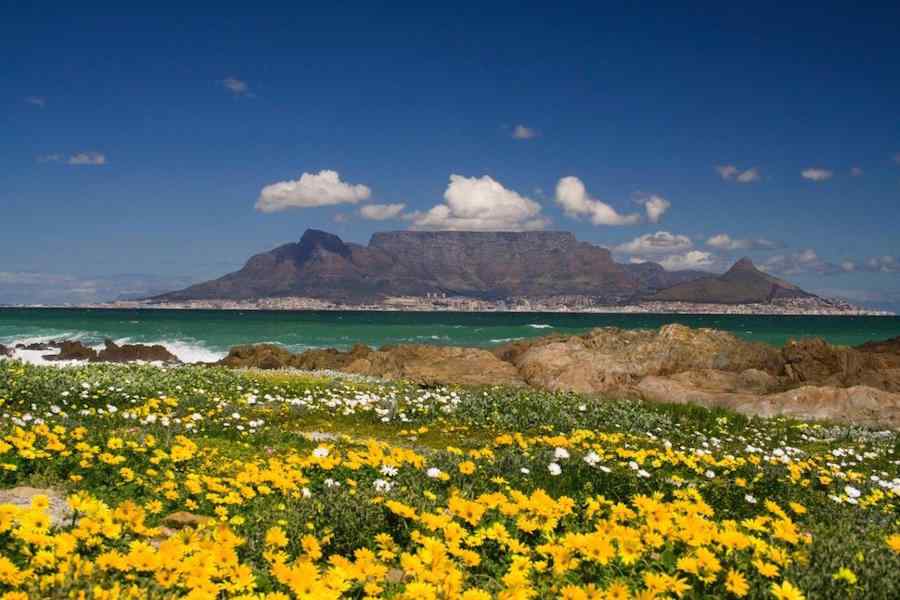 Best of South Africa
