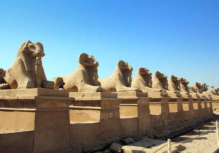 Land of Pharaohs