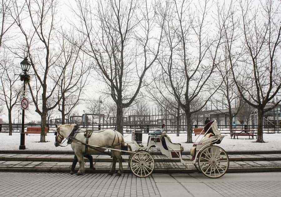 Horse Chariot
