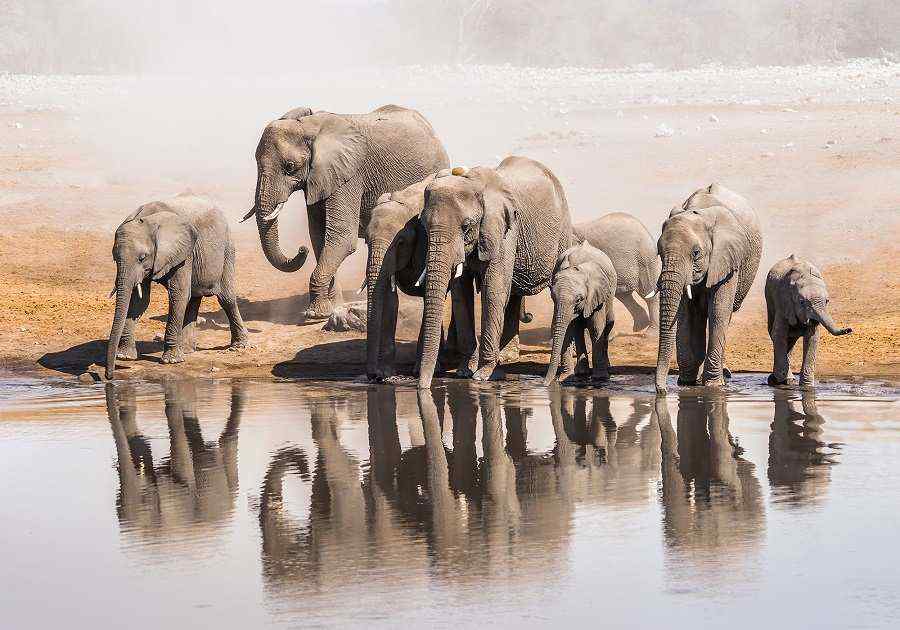 Highlights of Namibia
