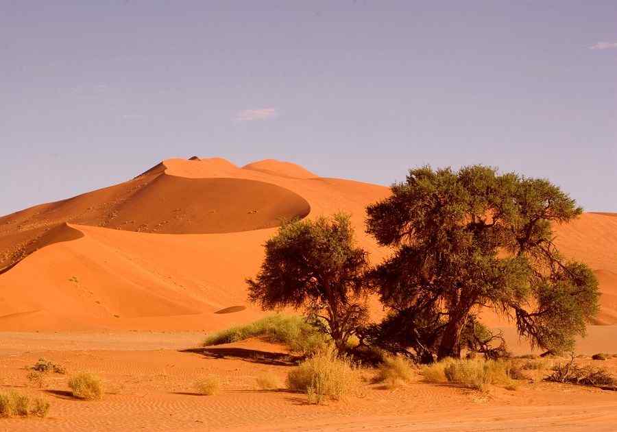 Highlights of Namibia