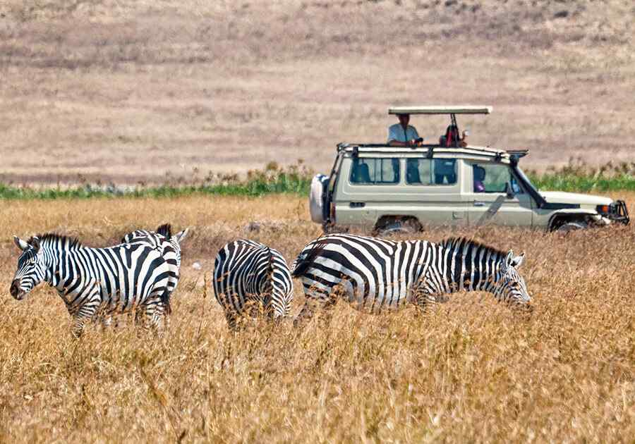 Essential Tanzania Ex USA