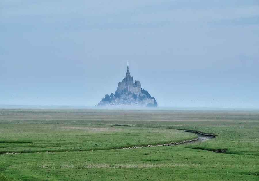 .,