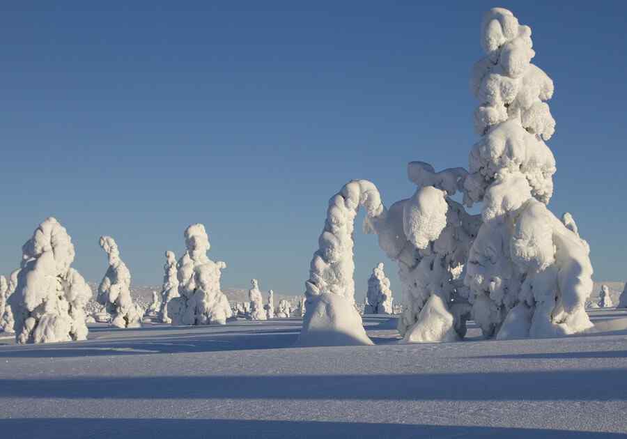 Lapland