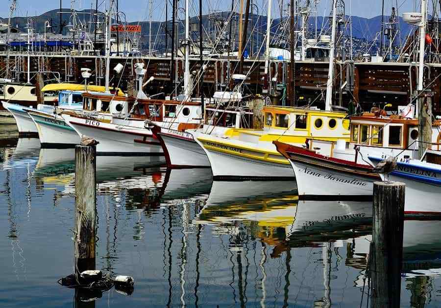 harbour