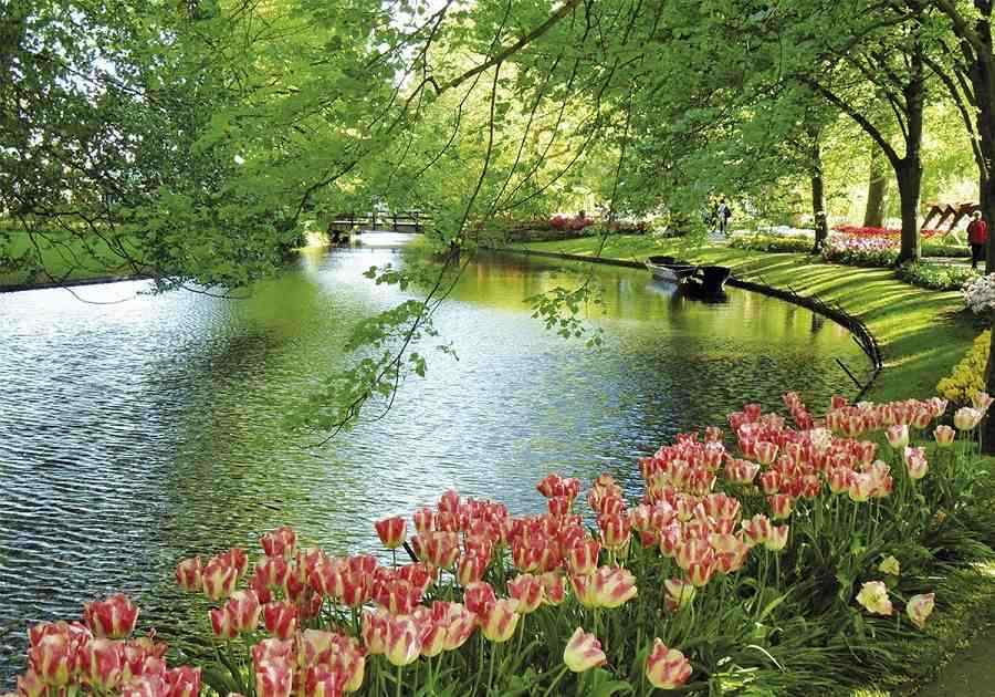 Keukenhof