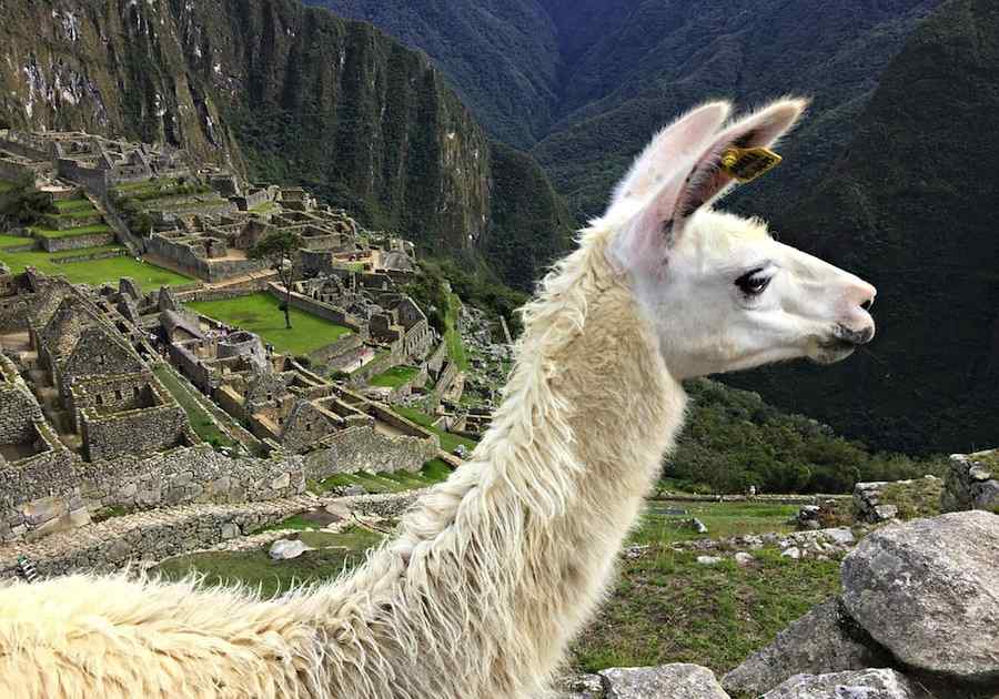 Essential Peru 6
